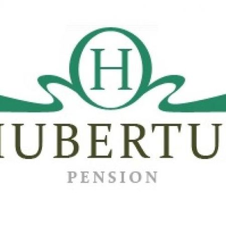 Pension Hubertus Aš Buitenkant foto
